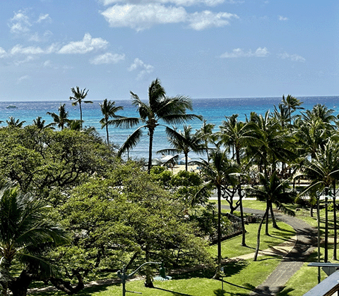 Thing To Do Ocean View